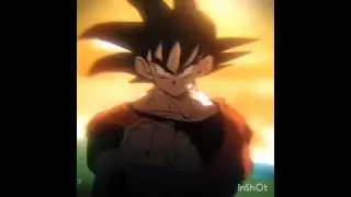 the Earth's Mightiest Warrior, a Saiyan, the Protector of Earth, a Martial Artist, and Z-Fighter