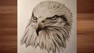 Simple technique How to draw a Realistic EAGLE  face : Easy guide for beginners