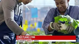 CREDITI DI CARBONIO ED EMISSIONI, LE OPPORTUNITA' PER GLI AGRICOLTORI