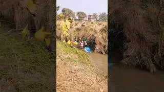 catching fish without any worth #amazing skill of catching fish 🐟 #bricks #excavator #viral #yt
