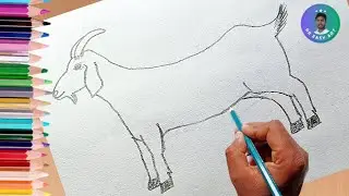 Easy drawing goat | Goat drawing easy | Pencil drawing goat step by step | @rreasyart
