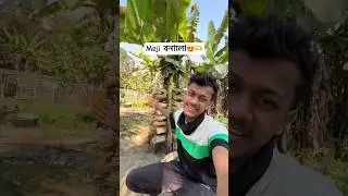 সকলোকে ভোগালী বিহুৰ শুভেচ্ছা জনালো 😍❤️#maghbihu #bihu #shorts