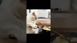 What Is This Cat Cooking?! 🔪🐱 Stir-fry in Progress&hellip;