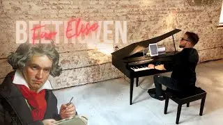 Norbert Danis | Beethoven - Für Elise