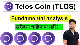 Telos Fundamental Analysis