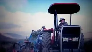 The damaging effects of chemical fertilizers , chemical pesticides & soil erosion