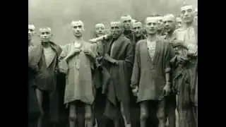 Bill of Rights: 2nd Amendment, Gun Control Worldwide