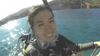 Divers at Catalina Island by Eco Dive Center in Los angeles