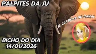 PALPITES DA JU JB 14/01/2026, DICAS E PALPITES JB #palpitesdodia #palpites