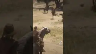 Initiated ragdoll rdo2 red dead online