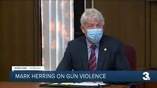 Mark Herring on gun violence