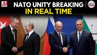 Единство НАТО подверглось испытанию: Орбан и Эрдоган расходятся с позицией ЕС по Путину | Европа