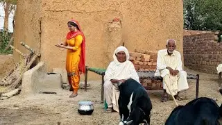 Unique Old Age Couple Living in Pure Mud Home  Punjab Village Pakistan🇵🇰