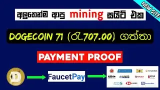New Mining Website | Stydox Payment Proof | Dogecoin 71(රැ.707 ක්) Instant Payout  | NSCDGEEK