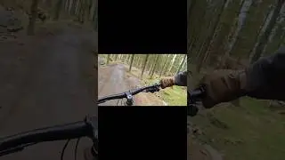 MTB Steel City DH run | Grenoside 🚲🌲🌳 #mtb #fullsendordontsend #mountainbike