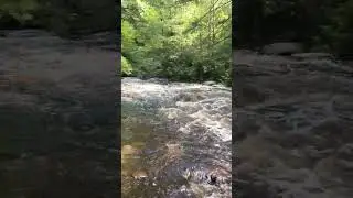 Got a Lil rain last night #deepcreek #bluesfestival #vacation #creek #shorts