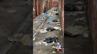 the rats or liverpool