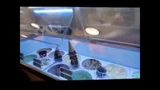 Review Chocolate Shoppe Ice Cream State Street: Delicious Ice Cream