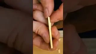 The Surprising Science of Wood