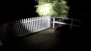 Witespy NAZA Quadcopter Night Flight Test.mp4