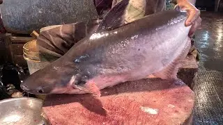 Satisfying Pangasius Fish Cutting | Precision and Speed!