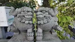 【龙泉两日】初次到访，徒步古村落—龙南乡龙井村