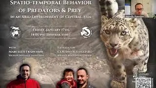 SLN Webinar - Spatio–temporal behavior of predators and prey in an arid environment of Central Asia