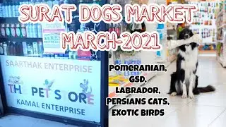 SURAT 🔥 DOGS MARKET  MARCH 2021 || #dogsmarketsurat|| THE PET STORE VISIT