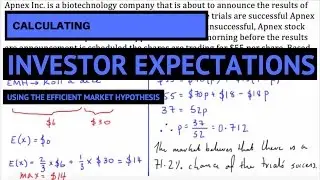 Efficient Market Hypothesis (EMH) - Investor Expectations (Example Problem)