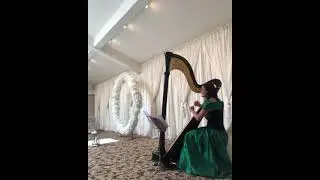 Wings by Birdy ( Harp Cover)