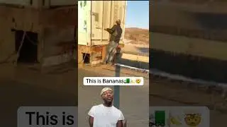 Банановые бомбы🚛🤯🍌 #DroppNHook #TheTruckersTrap #TruckerGameShow