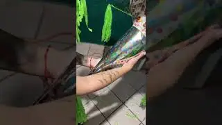 Proceso de pi&ntilde;ata de 7 picos