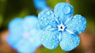 9 hours rain sounds, wind chimes sounds for deep sleep, relaxing sounds