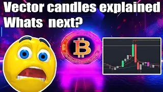 Vector candles explained and bitcoin price analysis