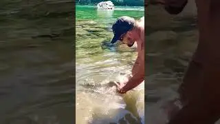 Wild Summer Steelhead Release!