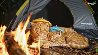 Mother & Kitten ASMR Bushcraft Camping | Cozy Tropical Rainforest Trek | AI Kitty Tales |
