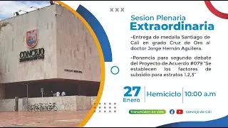 Plenaria Extraordinaria, Martes 27 de Enero 2026