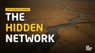Discover the Fascinating World of Fascia  Understanding the Body's Hidden Network