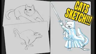 CATS sketch! 🐱​🐱​🐱​
