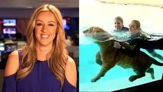 Megan Alexander Recalls Terrifying Swim With Tigers