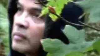 Bo Razon-Autumn Leaves