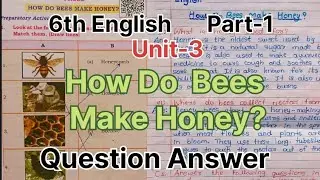 6th Class. English.Part-1.Unit -3. How Do Bees Make Honey? Complete question answers.