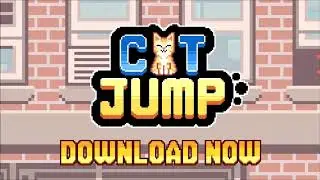 Cat jump