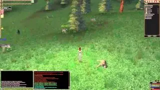 Leveling up as a caster - Dark Age of Camelot