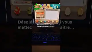 D&eacute;sol&eacute; les enfants papa joue &agrave; Dofus l&agrave; !
