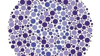 your test eyes color blind can you seen number😂😂