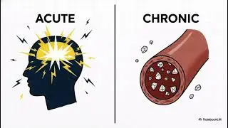 Phosphate Metabolism and Disorders