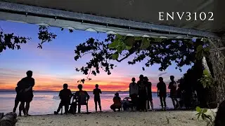 ENV3102 | mangroves, the rainforest and island life