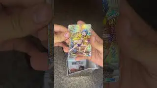 ONE PIECE CARDS HR