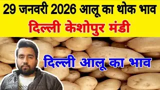 दिल्ली आलू का भाव | 🥔potato market price today | Today Potato rate | 29 Jan 2026 #potato #Aalukebhav